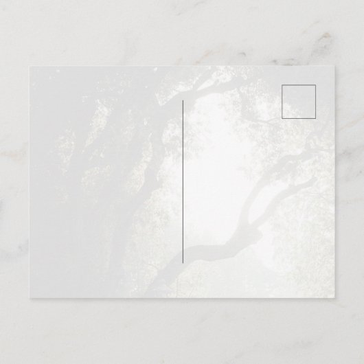 Romantic Academia Park View, Rome ポストカード (裏面)