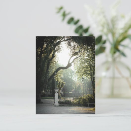 Romantic Academia Park View, Rome ポストカード (スタンド正面)