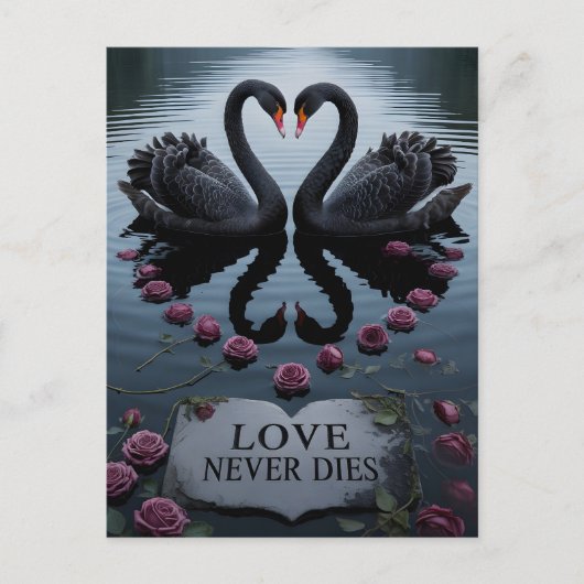 Romantic Black Swans Heart Reflection with Text ポストカード (正面)