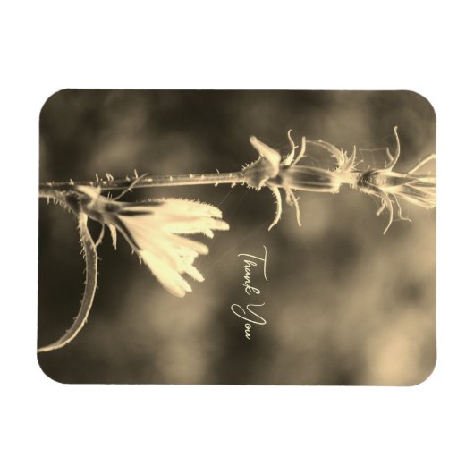 Romantic Flower Boho – Botanical Fantasy Thank You マグネット (横)