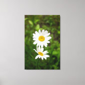 Romantic Flowers – Botanical Daisy Сouple キャンバスプリント (正面)