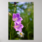 Romantic Flowers – Botanical Fantasy Boho ポスター (正面)