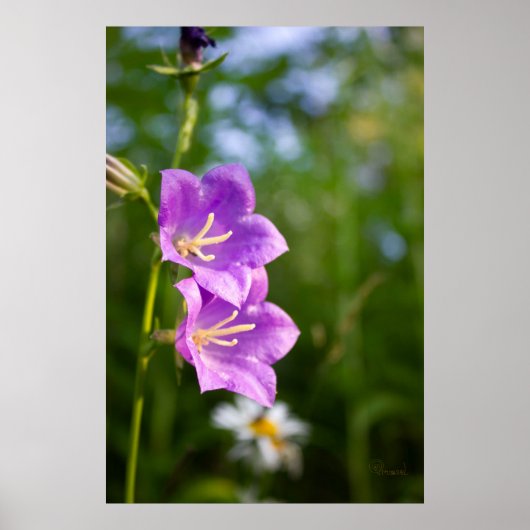 Romantic Flowers – Botanical Fantasy Boho ポスター (正面)