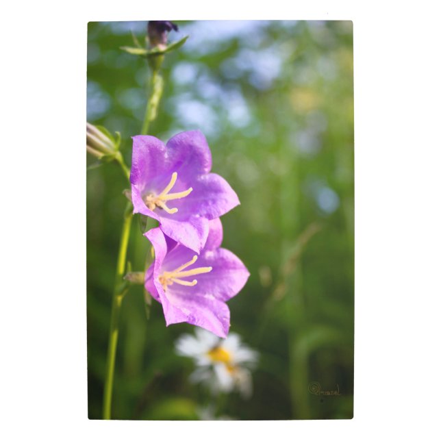 Romantic Flowers – Botanical Fantasy Boho メタルプリント (正面)