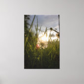 Romantic Flowers – Botanical Fantasy Daisy キャンバスプリント (正面)