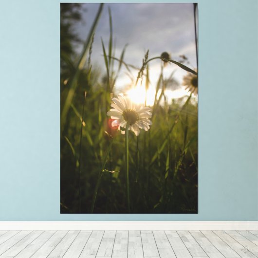 Romantic Flowers – Botanical Fantasy Daisy キャンバスプリント (インサイチュ (ウッドフロア))