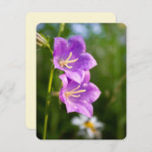 Romantic Flowers – Botanical Fantasy Garden シーズンカード (正面/裏面)