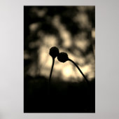 Romantic Moody Flowers – Botanical Fantasy Boho ポスター (正面)