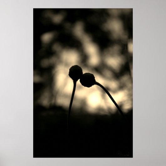 Romantic Moody Flowers – Botanical Fantasy Boho ポスター (正面)