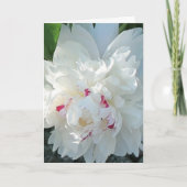 Romantic Peony Greeting and/or Note Card カード (正面)