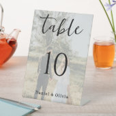 Romantic Photo Wedding Table Number Card 台座サイン (インサイチュ)
