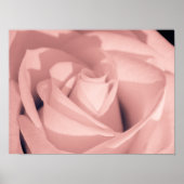 Romantic Pink Rose Flower Archival Art ポスター (正面)