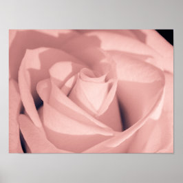 Romantic Pink Rose Flower Archival Art ポスター