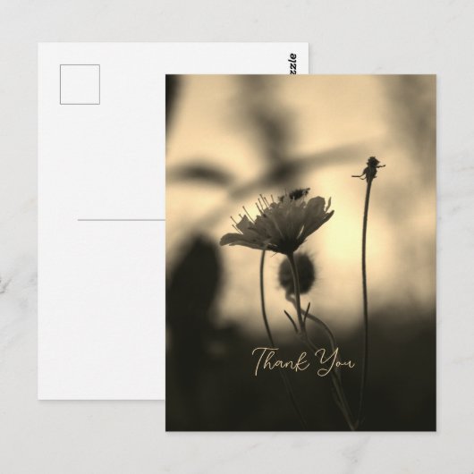 Romantic Sepia Flower – Botanical Fantasy Thanks ポストカード (正面/裏面)