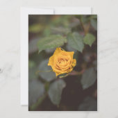 Romantic Single Yellow Rose Dark Garden Wedding  招待状 (裏面)