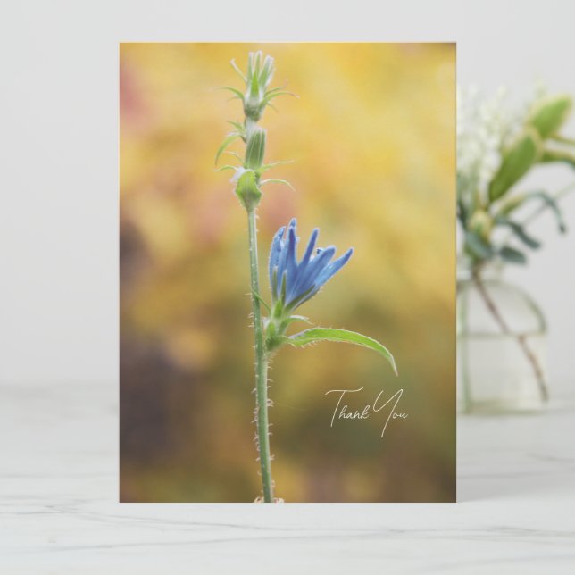 Romantic Trees & Flowers – Botanical Fantasy Boho (スタンド正面)