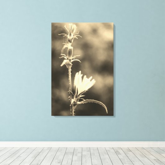 Romantic Trees & Flowers – Botanical Fantasy Boho  キャンバスプリント (インサイチュ (ウッドフロア))