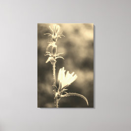 Romantic Trees & Flowers – Botanical Fantasy Boho キャンバスプリント