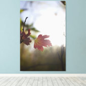 Romantic Trees & Flowers – Botanical Fantasy Boho キャンバスプリント (インサイチュ (ウッドフロア))