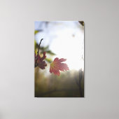 Romantic Trees & Flowers – Botanical Fantasy Boho キャンバスプリント (正面)