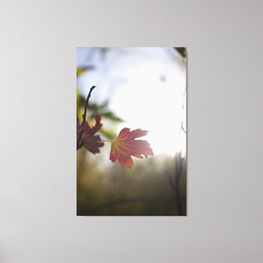 Romantic Trees & Flowers – Botanical Fantasy Boho キャンバスプリント (正面)