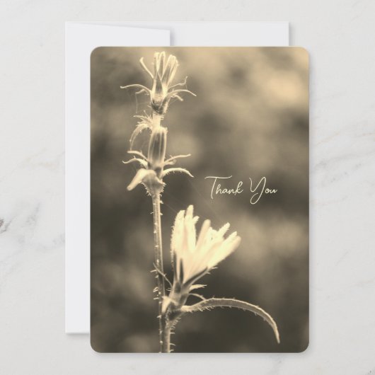 Romantic Trees & Flowers – Botanical Fantasy Boho  シーズンカード (正面)