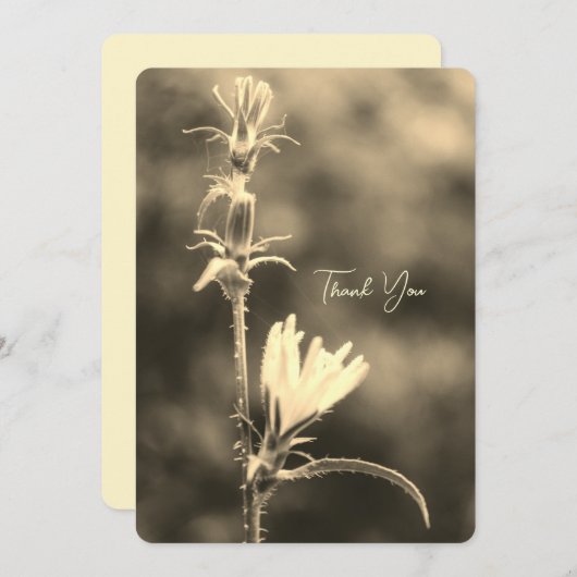 Romantic Trees & Flowers – Botanical Fantasy Boho  シーズンカード (正面/裏面)