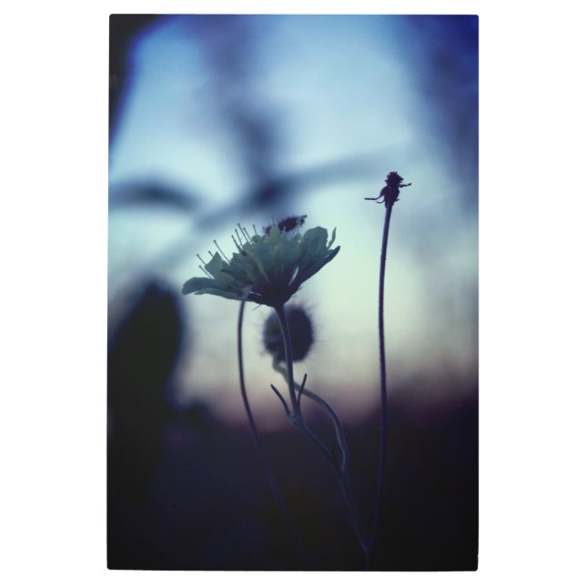 Romantic Trees & Flowers – Botanical Fantasy Boho メタルプリント (正面)