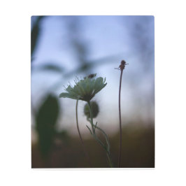 Romantic Trees & Flowers – Botanical Fantasy Boho メタルプリント