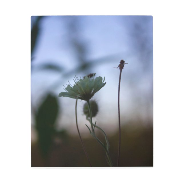 Romantic Trees & Flowers – Botanical Fantasy Boho メタルプリント (正面)