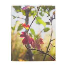 Romantic Trees & Flowers – Botanical Fantasy Boho メタルプリント