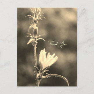 Romantic Trees & Flowers – Botanical Fantasy Poem  シーズンポストカード