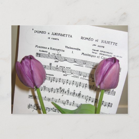 Romeo & Julietポストカード ポストカード (正面)