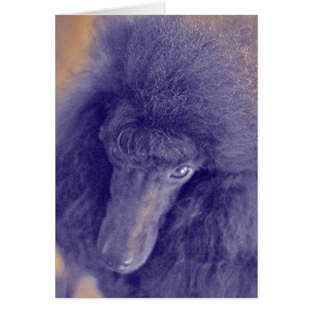 Romeyのカード (正面)