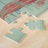 Rompecabezas - Anatomía ジグソーパズル (側面)