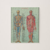 Rompecabezas - Anatomía ジグソーパズル (縦)