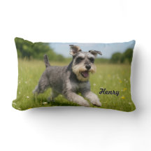Romping Schnauzer Personalized