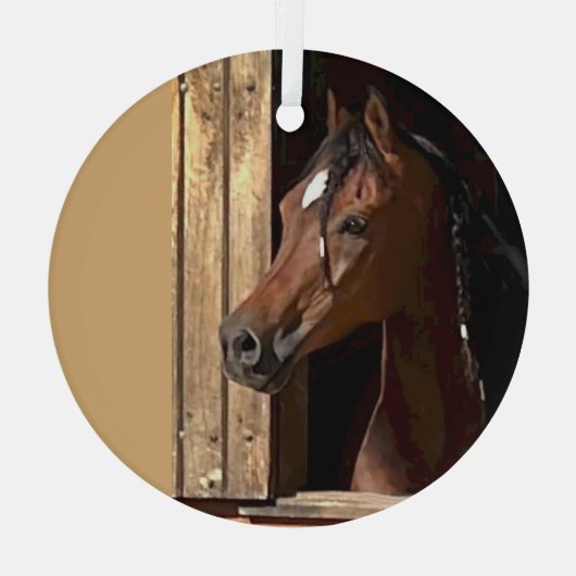 Ron Hevener ガラスオーナメント (裏面)