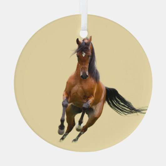 Ron Hevener ガラスオーナメント (裏面)