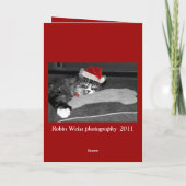 ronniの子犬 シーズンカード (裏面)