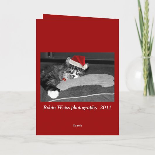 ronniの子犬 シーズンカード (裏面)