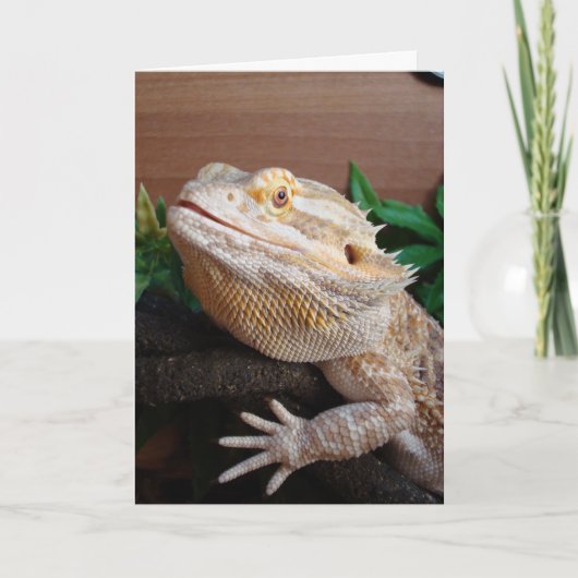 Ronnie カード (正面)