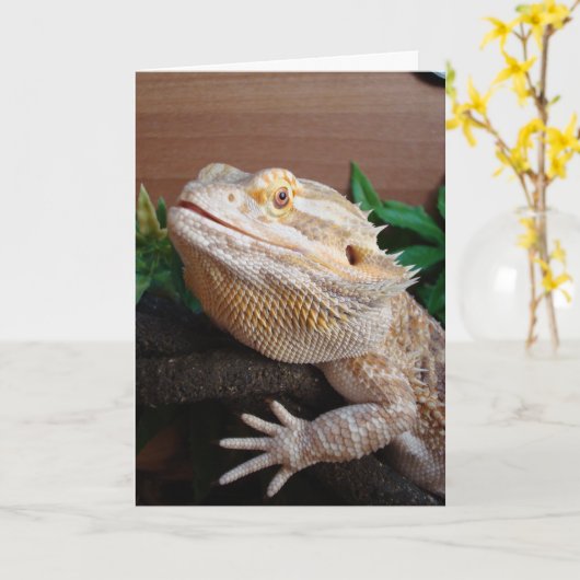 Ronnie カード (黄色い花)