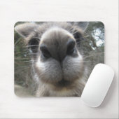 Rooボブ マウスパッド (マウス)