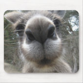 Rooボブ マウスパッド (正面)