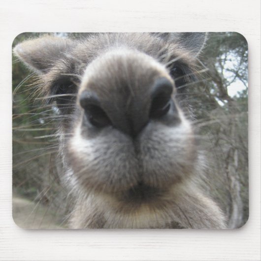 Rooボブ マウスパッド (正面)