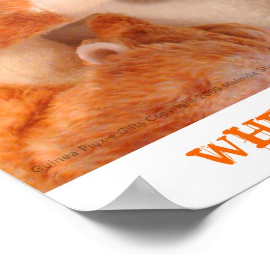 Roo Stuffy & Skippy Peegポスター ポスター (角)