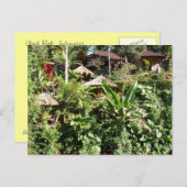 Room with a view, Ubud, Bali Indonesia ポストカード (正面/裏面)