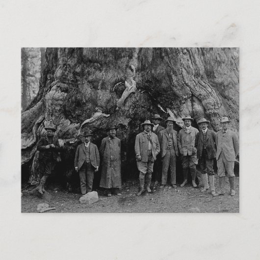 Roosevelt社長とJohn Muir California 1903年 ポストカード (正面)