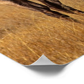 Roosevelt Eull Elk Wyoming ポスター (角)